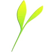 Register Domain in Nepal