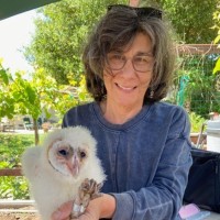 Anne Ardillo