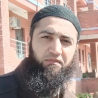 Amir Turkey