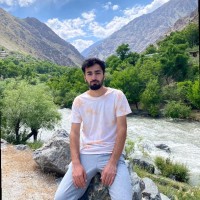 Danish Ali Mir