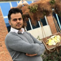 Milad Mansouri