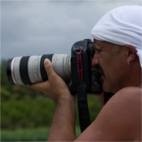 Silvio Ricardo Ribeiro