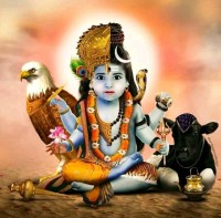 Ajay Goyal