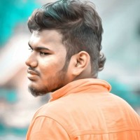 Pandi D