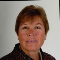 Andrea Palfi