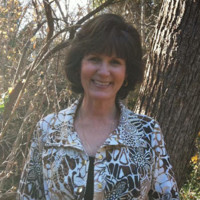 Kathy Scribner