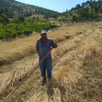 Zekeriya Sarıaltun