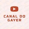 Marcus Vinicius Gayer