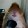 Lev S