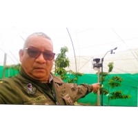 JOSE ANTONIO DULANTO BEJARANO