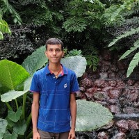 KRISHNA JEE