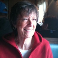 Ann Michel