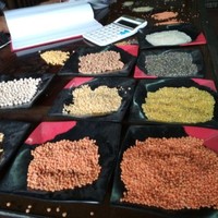 Provat Kumar