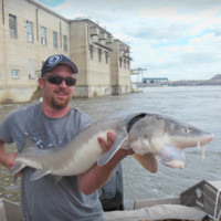 Matt Krahn