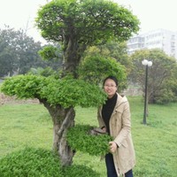 陈银娟