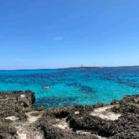 Jorge Benitez Barreras