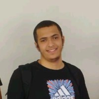 Tamer Saeed