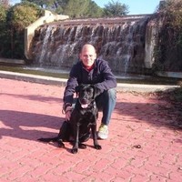 Javier de Obeso Merino