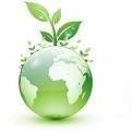 Parandama Reddy