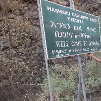 Fikru Abebe