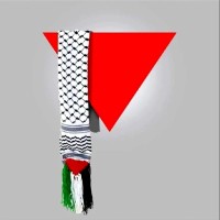 Z G 🇵🇸