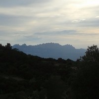 Montserrat C.