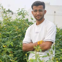 Anand Mandloi