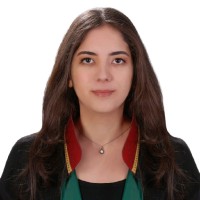 Elif E. Koyuncu