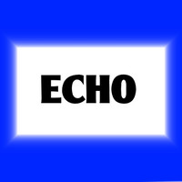 Echo Gaming