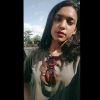 Natasha Shinde