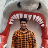 Naveen Raj S
