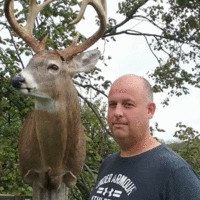 Matt Shull