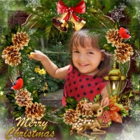 dirma ortez