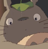杨小利