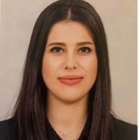 Narges Asri