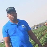 Takudzwa A. Kasenya