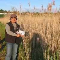 Dr Michelle Sim Cheng Hua