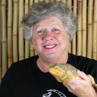 Jane Flynn