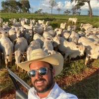 Roberto Junqueira