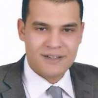 Mohamed Hesham El Farnawany