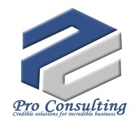 Pro Consulting