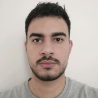 Pedro Henrique Lopes Cau