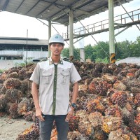 Windi Ardi Kusuma