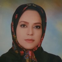 Shakiba Nameghi