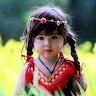 Md Shemul Khan