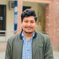 Muhammad Hamza Rafique