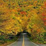 Wu Yakerwu