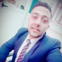 Mohamed Gamal Arafa