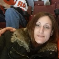 Dana Fattizzo