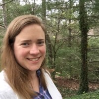Allison King